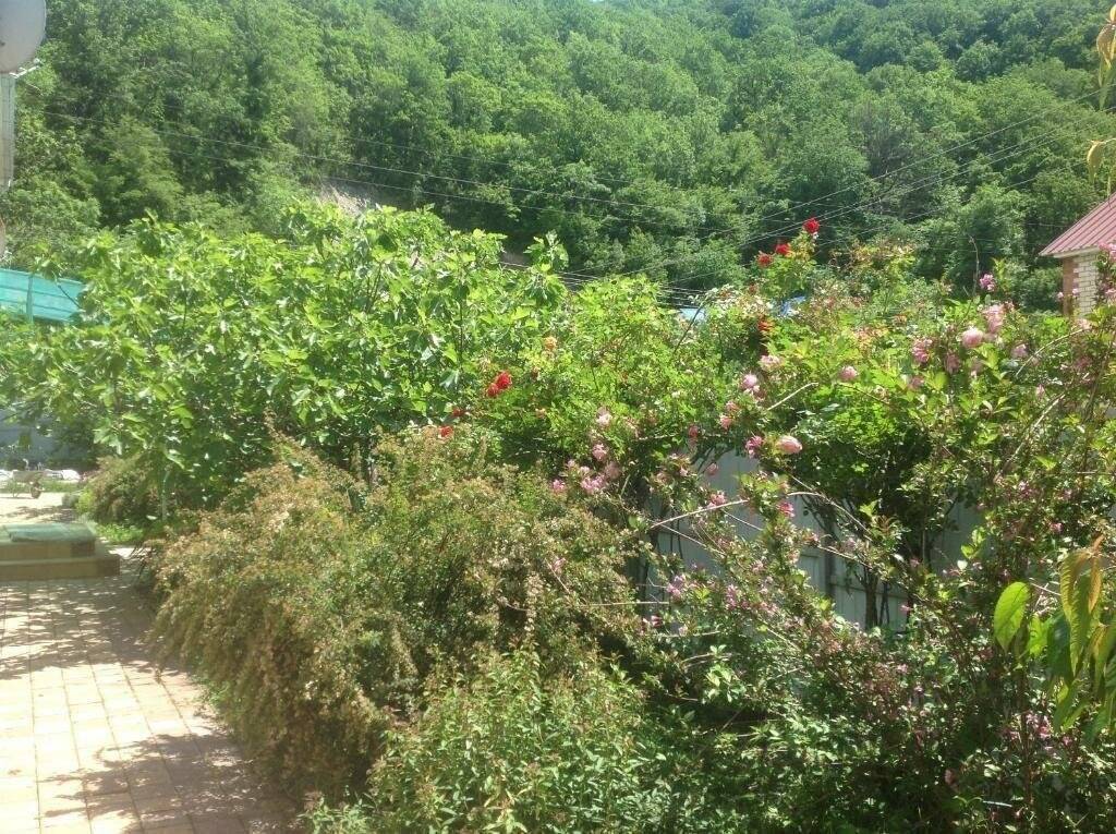 Фото Гостевого дома Green House Пляхо 71