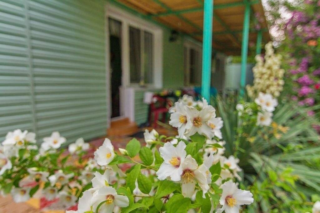 Фото Гостевого дома Green House Пляхо 6