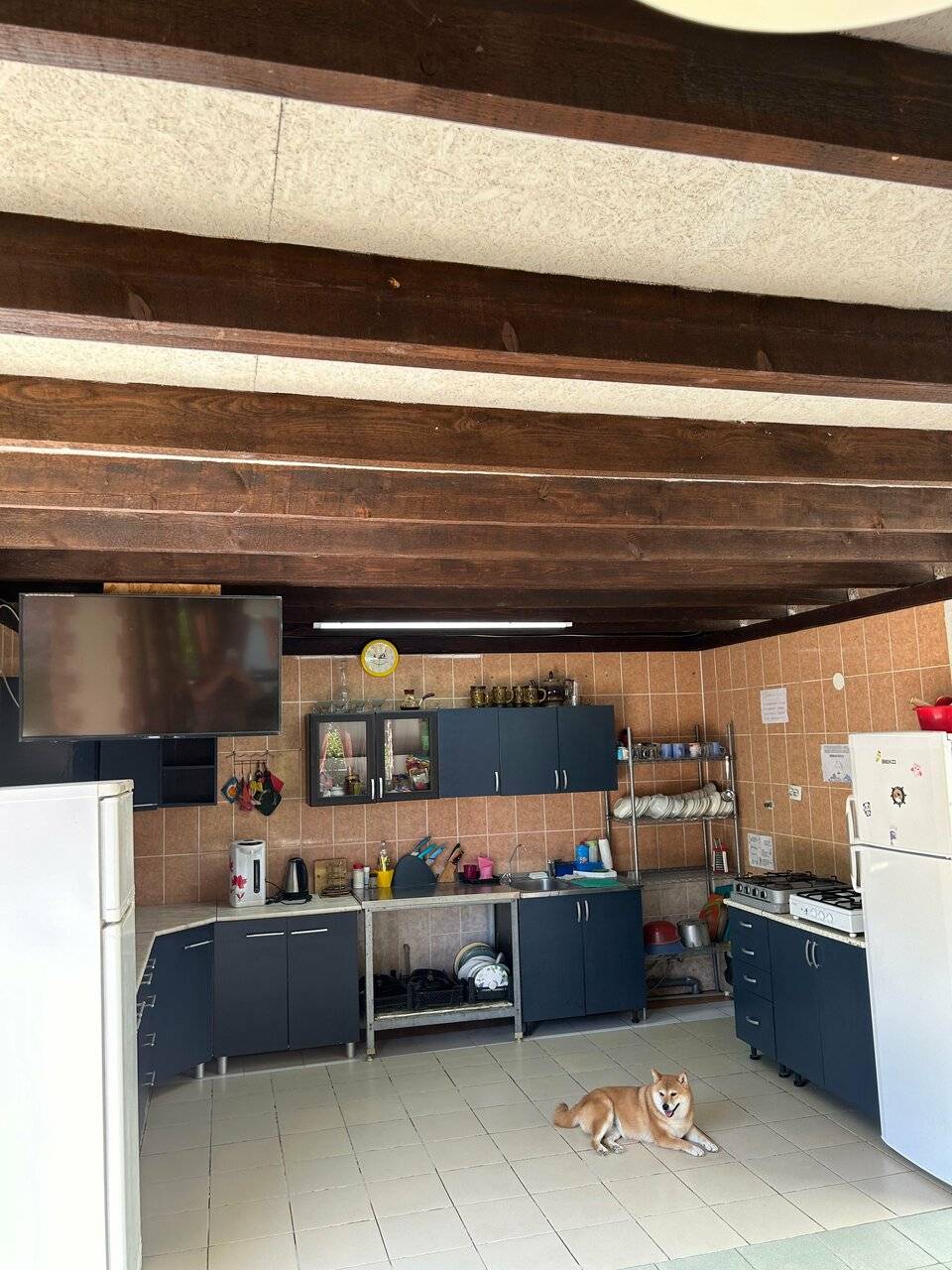 Фото Гостевого дома Green House Пляхо 96